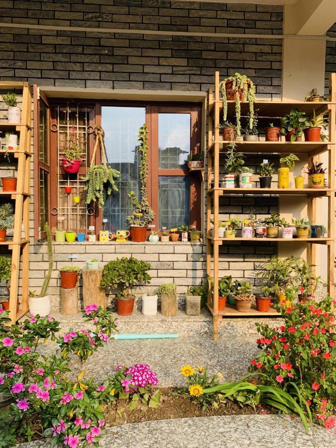 Hotel October Inn Pokhara Ngoại thất bức ảnh