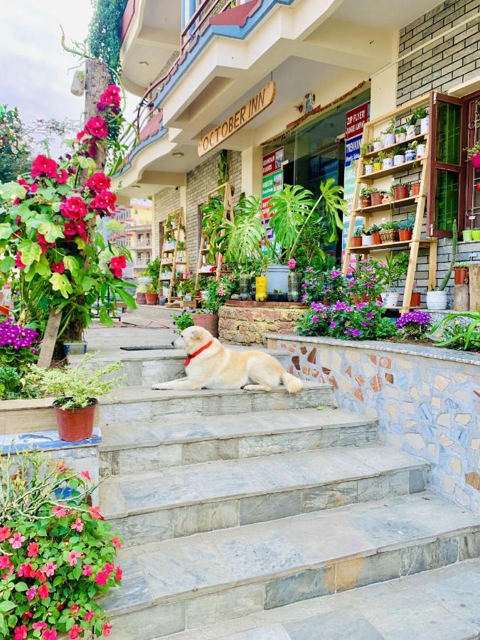 Hotel October Inn Pokhara Ngoại thất bức ảnh